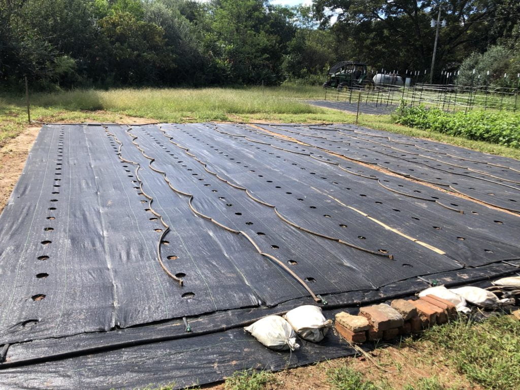 Garden plot with landscape fabric and irrigation